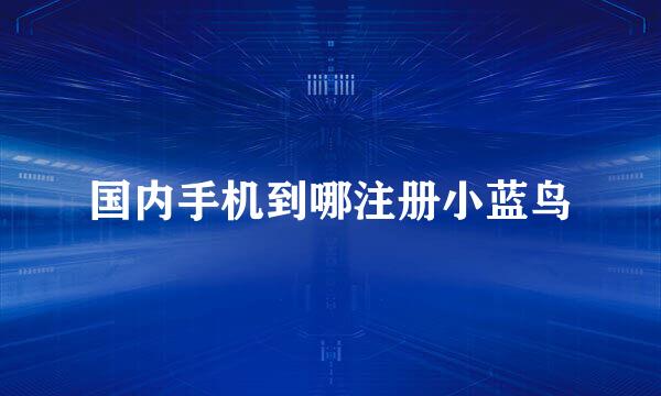 国内手机到哪注册小蓝鸟
