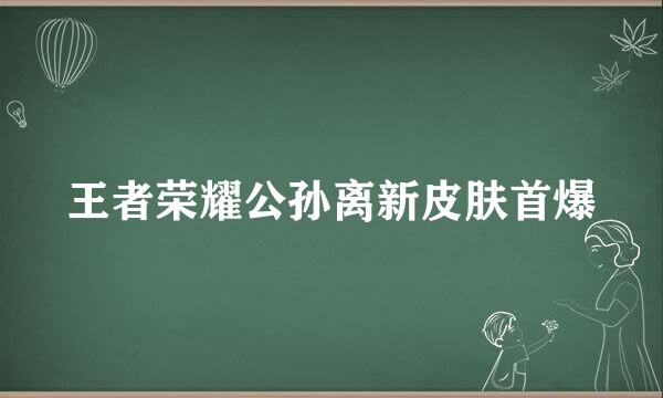 王者荣耀公孙离新皮肤首爆