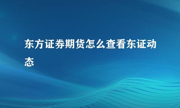 东方证券期货怎么查看东证动态