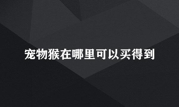 宠物猴在哪里可以买得到