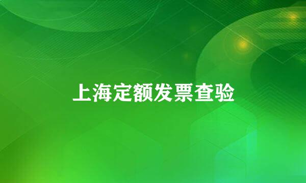 上海定额发票查验