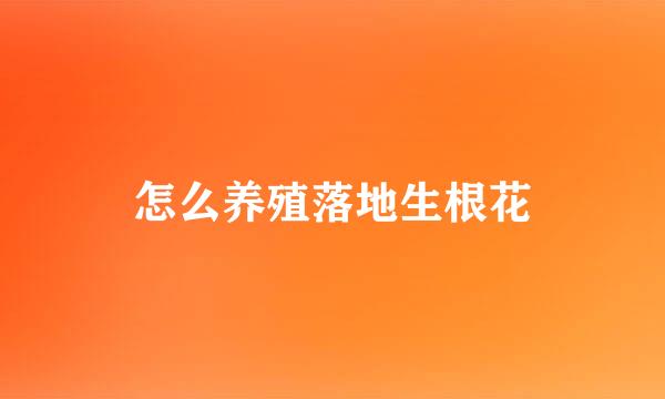 怎么养殖落地生根花