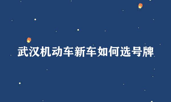 武汉机动车新车如何选号牌
