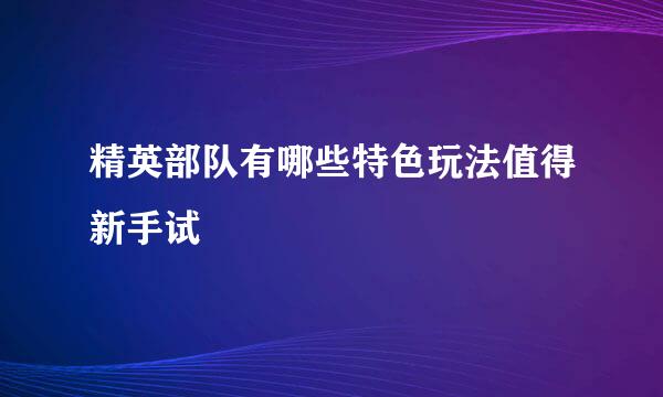 精英部队有哪些特色玩法值得新手试