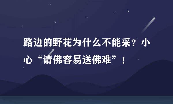 路边的野花为什么不能采？小心“请佛容易送佛难”！