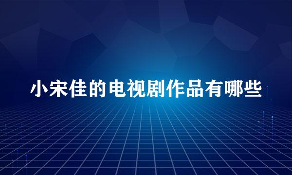 小宋佳的电视剧作品有哪些