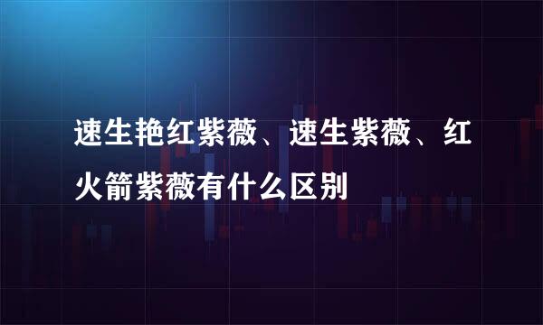 速生艳红紫薇、速生紫薇、红火箭紫薇有什么区别