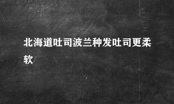 北海道吐司波兰种发吐司更柔软