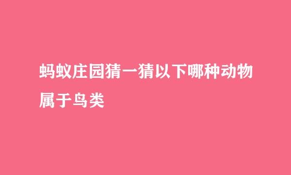 蚂蚁庄园猜一猜以下哪种动物属于鸟类