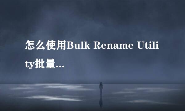 怎么使用Bulk Rename Utility批量修改文件名