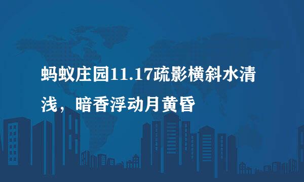 蚂蚁庄园11.17疏影横斜水清浅，暗香浮动月黄昏
