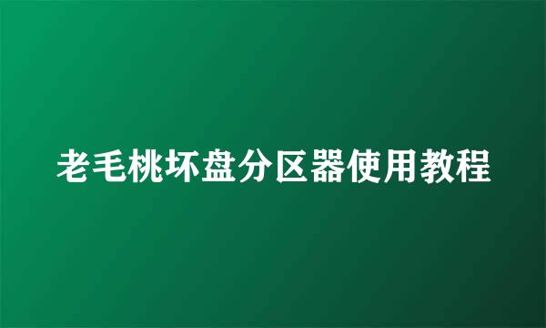 老毛桃坏盘分区器使用教程