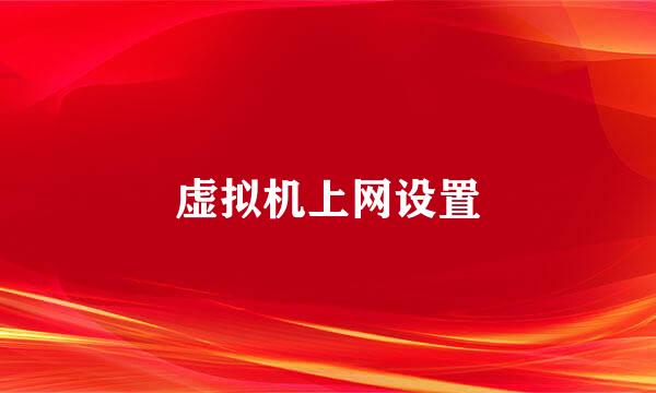 虚拟机上网设置