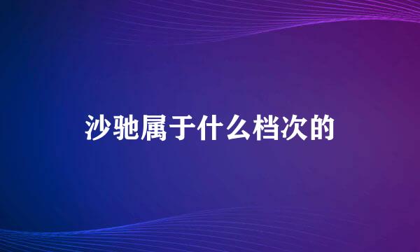 沙驰属于什么档次的