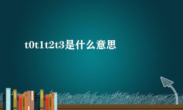 t0t1t2t3是什么意思