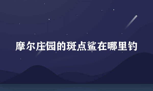 摩尔庄园的斑点鲨在哪里钓