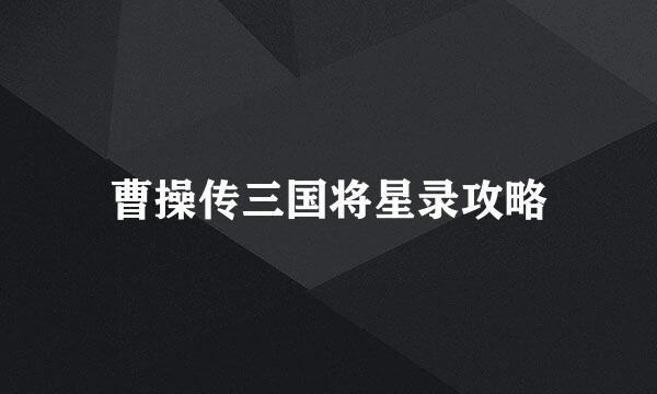 曹操传三国将星录攻略