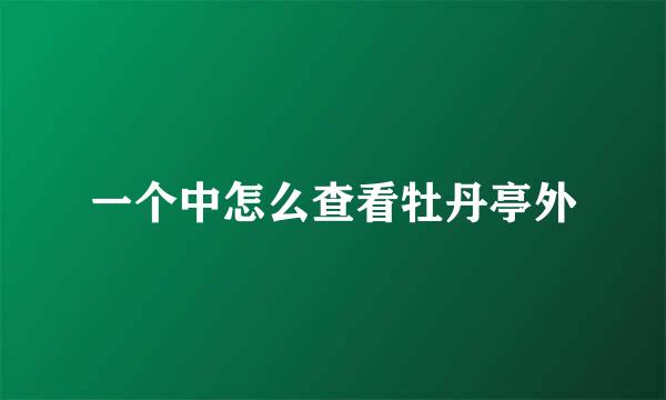 一个中怎么查看牡丹亭外