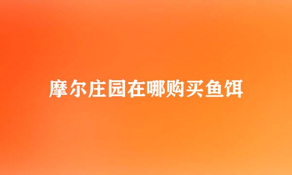 摩尔庄园在哪购买鱼饵