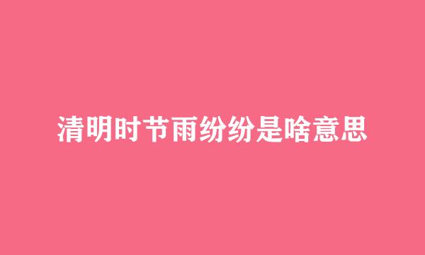 清明时节雨纷纷是啥意思