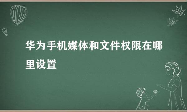 华为手机媒体和文件权限在哪里设置