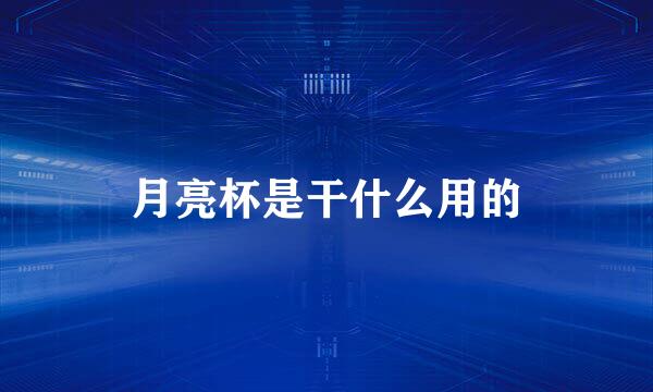 月亮杯是干什么用的