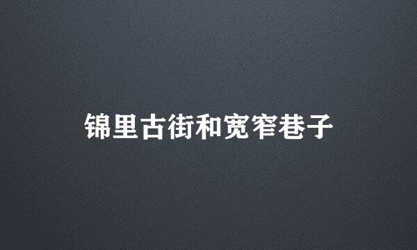 锦里古街和宽窄巷子
