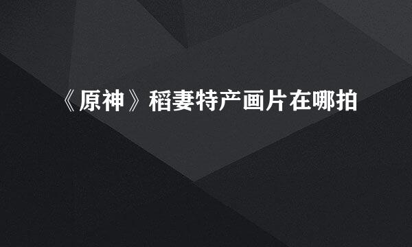 《原神》稻妻特产画片在哪拍