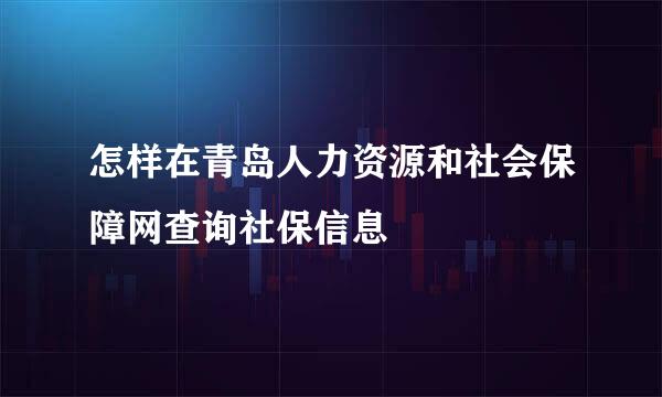怎样在青岛人力资源和社会保障网查询社保信息