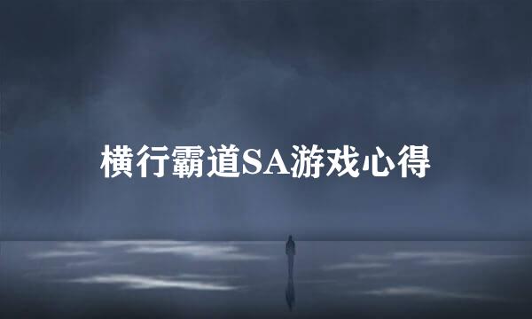 横行霸道SA游戏心得