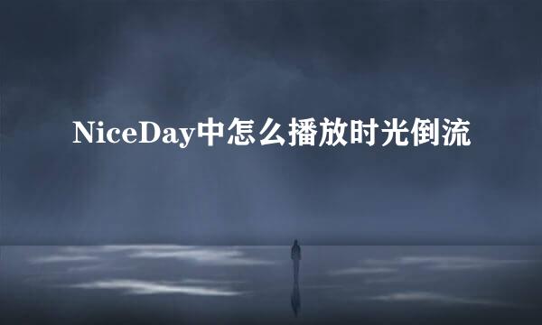 NiceDay中怎么播放时光倒流