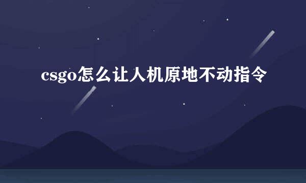 csgo怎么让人机原地不动指令