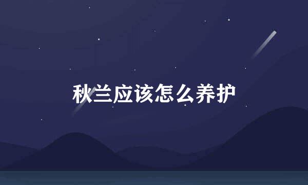 秋兰应该怎么养护