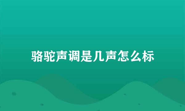 骆驼声调是几声怎么标
