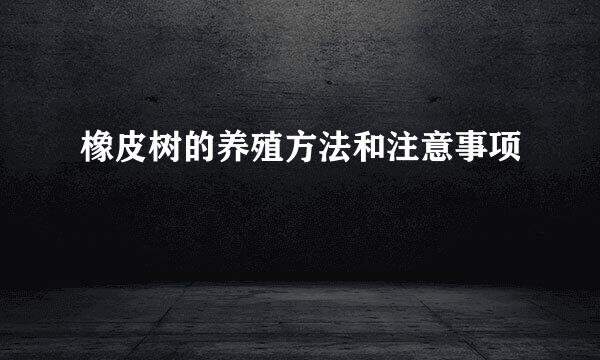 橡皮树的养殖方法和注意事项