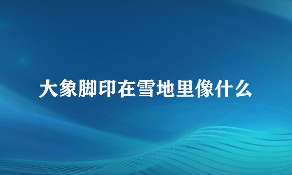大象脚印在雪地里像什么