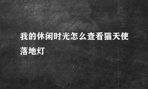 我的休闲时光怎么查看猫天使落地灯