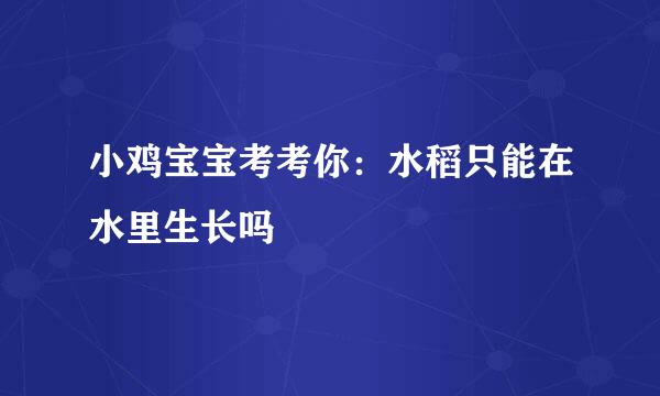 小鸡宝宝考考你：水稻只能在水里生长吗