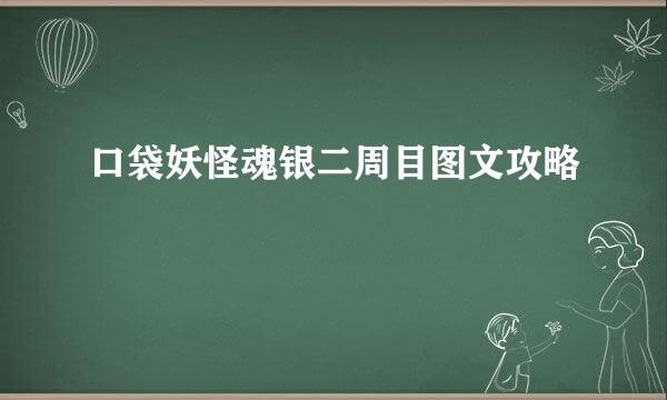 口袋妖怪魂银二周目图文攻略