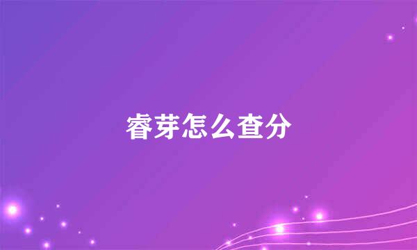 睿芽怎么查分