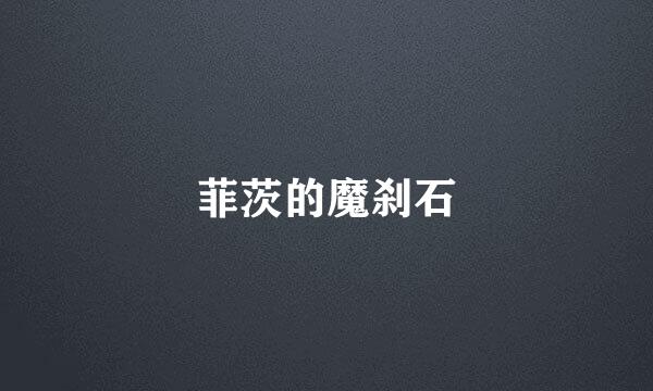 菲茨的魔刹石