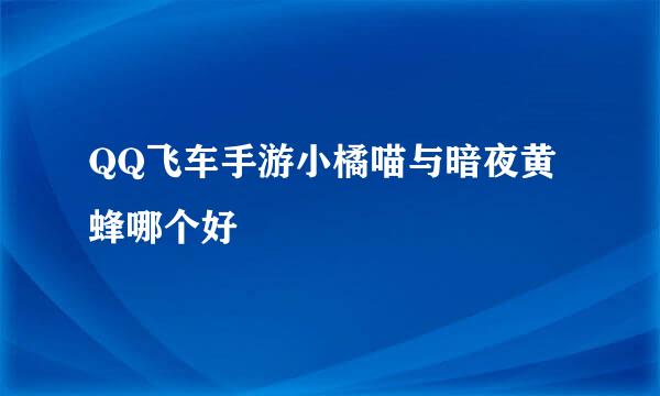 QQ飞车手游小橘喵与暗夜黄蜂哪个好