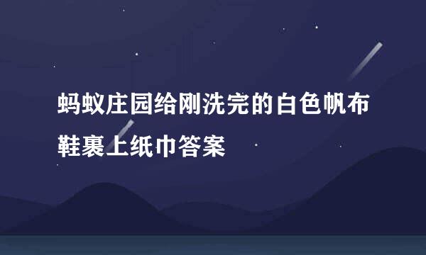 蚂蚁庄园给刚洗完的白色帆布鞋裹上纸巾答案