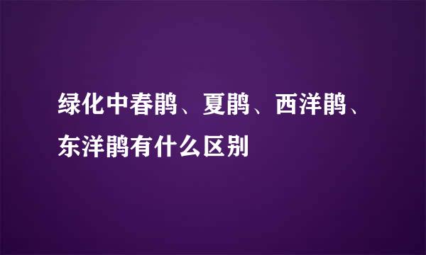 绿化中春鹃、夏鹃、西洋鹃、东洋鹃有什么区别