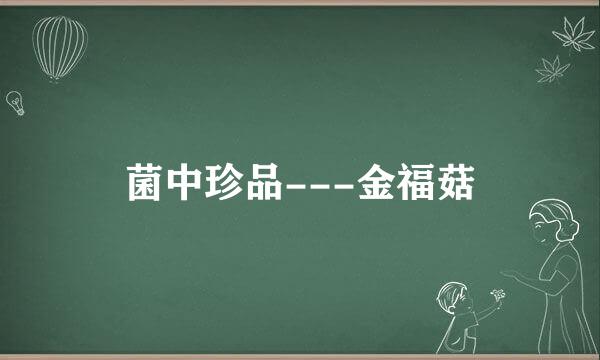 菌中珍品---金福菇