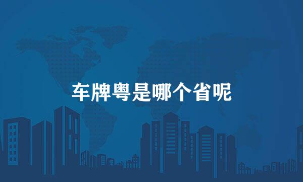 车牌粤是哪个省呢