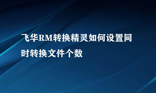 飞华RM转换精灵如何设置同时转换文件个数