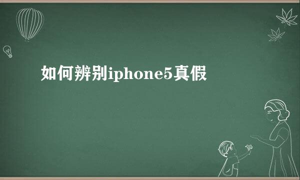 如何辨别iphone5真假