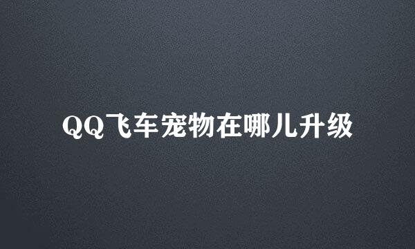 QQ飞车宠物在哪儿升级