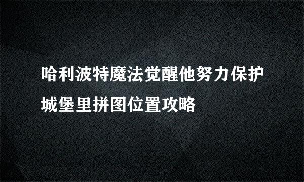 哈利波特魔法觉醒他努力保护城堡里拼图位置攻略